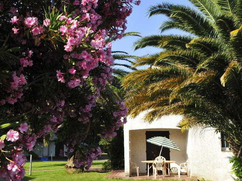 Hotel Le Domaine Du Mas Blanc By Popinns Alénya Dış mekan fotoğraf