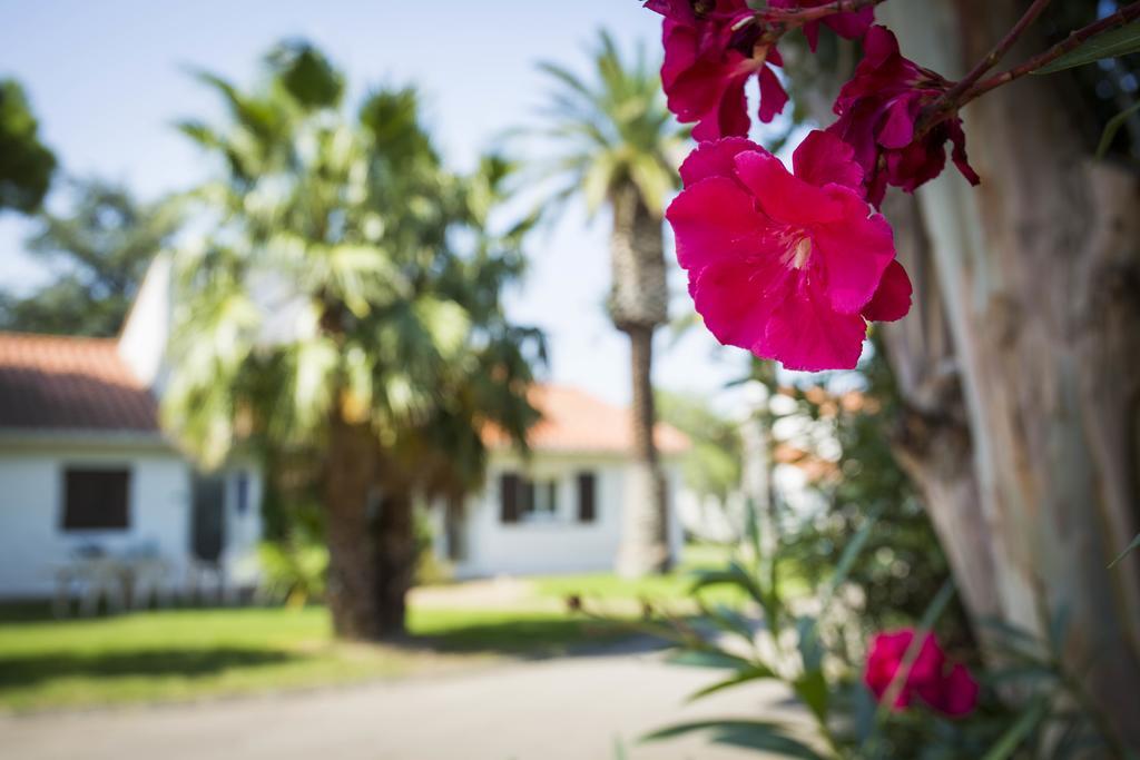 Hotel Le Domaine Du Mas Blanc By Popinns Alénya Dış mekan fotoğraf